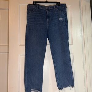 Express Mom Jean Super High Rise Classic Blue Distressed Women's Jeans